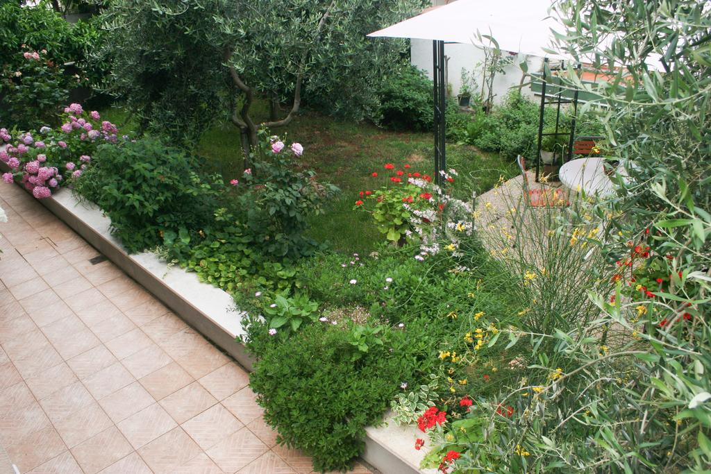 Apartment Ljubica Vrsar Buitenkant foto